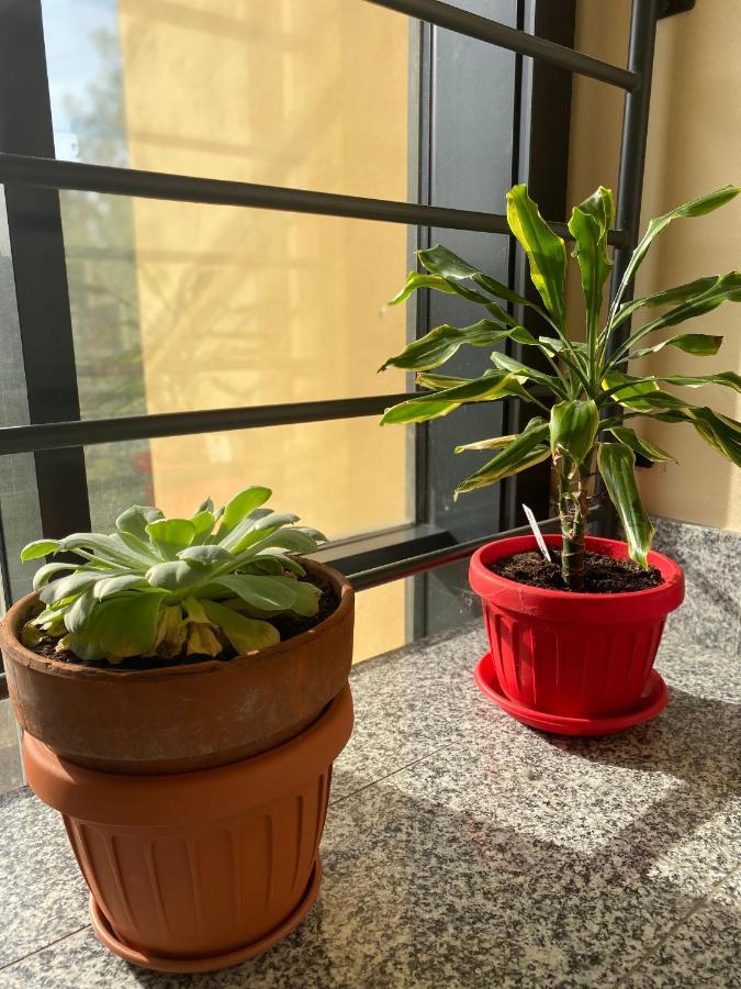 Appartamento Eliana Asti Exterior foto